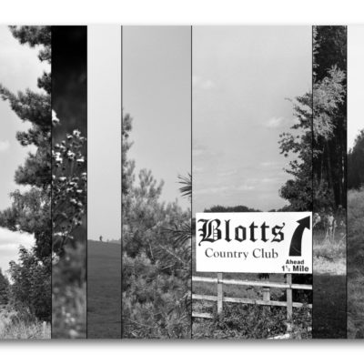 BLOTTS PIT & SKYLARKS | Tom Wilkinson