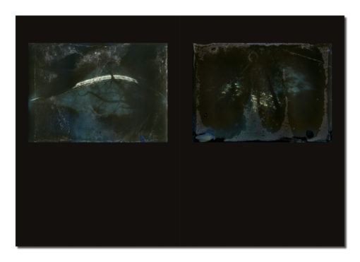 SOLARGRAPHS | Al Brydon - Image 10