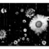 ANECDOTES | Chris Friel - Image 3