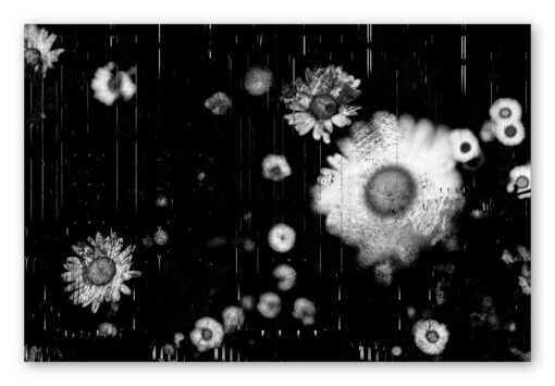 ANECDOTES | Chris Friel - Image 3