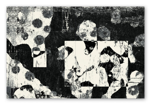 ANECDOTES | Chris Friel - Image 5