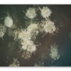 ANECDOTES | Chris Friel - Image 9
