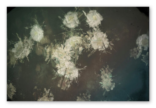 ANECDOTES | Chris Friel - Image 9
